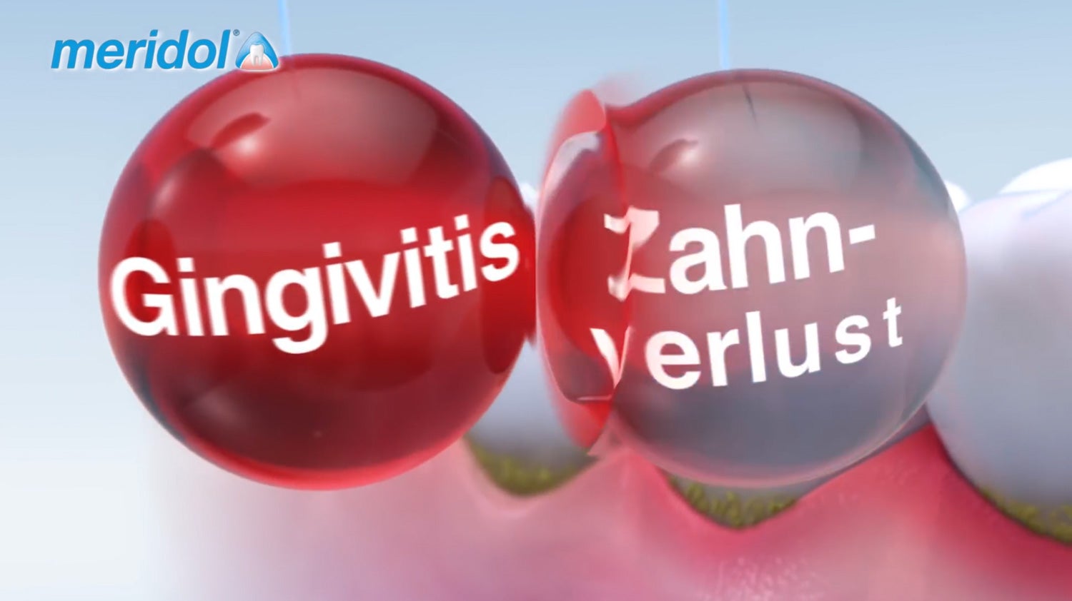 {{productAsset1AltText}}